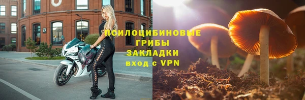 героин Алексин