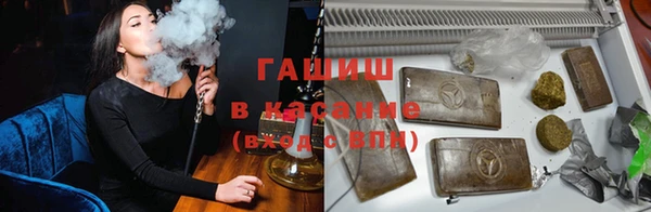 прущие грибы Алзамай