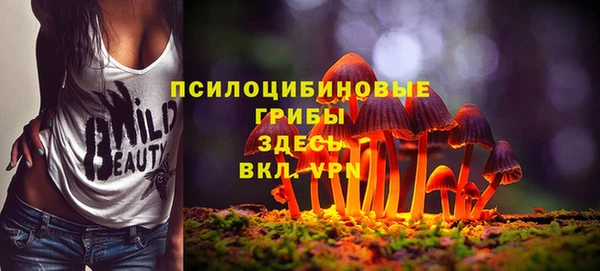 героин Алексин
