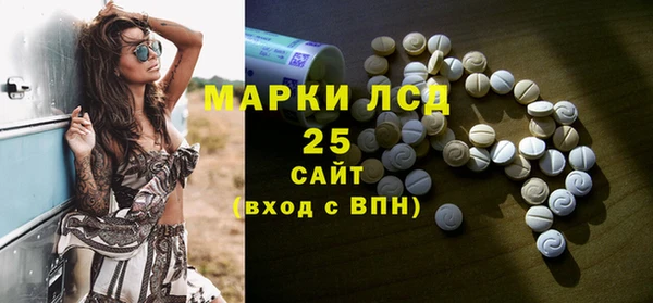 прущие грибы Алзамай
