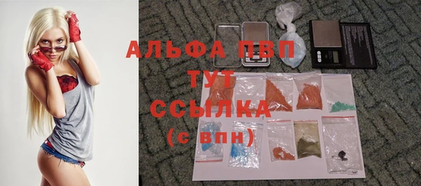 прущие грибы Алзамай