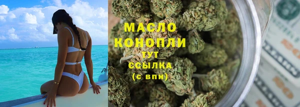 прущие грибы Алзамай