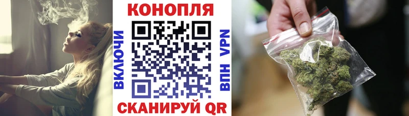 Бошки марихуана сатива Зуевка